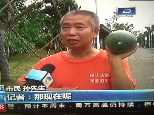 今日热门吃瓜事件视频,视频曝光惊人内幕