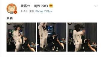 娱乐圈吃瓜爆料二次元,二次元吃瓜爆料大揭秘