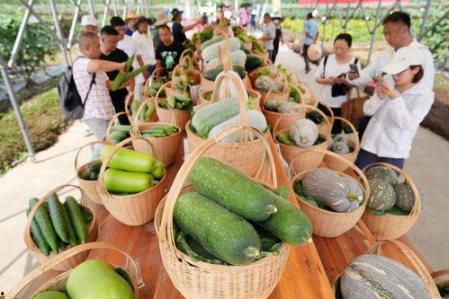 今日广州吃瓜最新消息,揭秘网红餐厅风波背后的真相